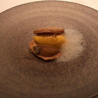 ジョンティ アッシュ - 