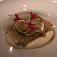 ジョンティ アッシュ - 