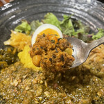 SPICY CURRY 魯珈 - 