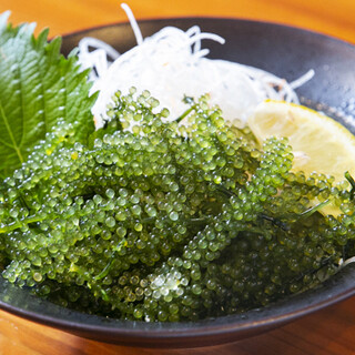 正宗的老式冲绳料理！推荐“Umibudo”和“Rafute”。
