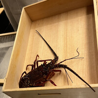 日本料理 はなの - 