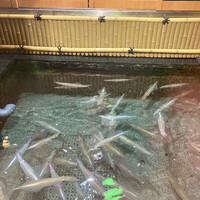 博多料亭 稚加榮 - 