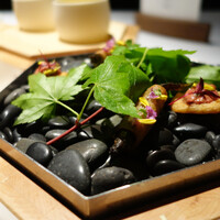 ブレストンコート ユカワタン - 