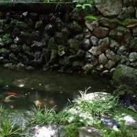 菊乃井 本店 - 