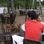 ドッグデプトガーデン - リードフックあります