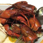 ブラッスリ 風間 - (09/6夜)ウチダザリガニ部分のみ