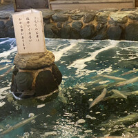 河太郎 中洲本店 - ここの生簀レイアウト元祖かも