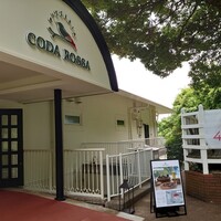 CODA ROSSA - 