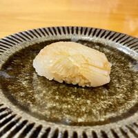 鮓 たいと - アオリイカ