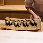 日本料理 研野 - 鮎