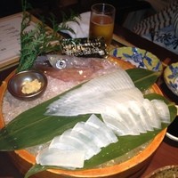 寅八商店 心斎橋店 - 泳ぎイカ！