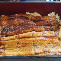 川越 いちのや - うな重（菊）