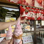 太陽のいちご - 