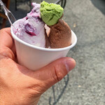 Gelateria Capri - 料理写真:ジェラート　ダブル470円税込　