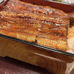 Unagi Kinsui - 