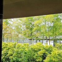 トラットリア セッテ ハイアット リージェンシー 京都 - 