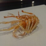 天ぷら たけうち - 長崎県車エビ足