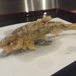 天ぷら たけうち - 大分県稚鮎