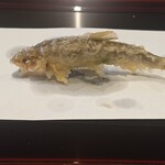 Tempura Takeuchi - 