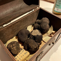 マルゴット エ バッチャーレ - 