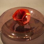 プレゼンテ スギ - Gv鰹