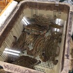 白子漁港直売所 魚魚鈴 - 