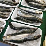 白子漁港直売所 魚魚鈴 - 