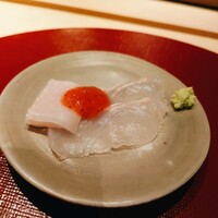 霜止出苗 - 
