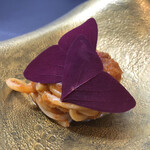 プレゼンテ スギ - パスタ