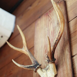 きみや - 御馳走様でした☆