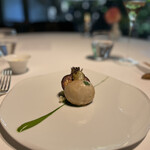 レフェルヴェソンス - 