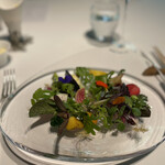 レフェルヴェソンス - 