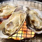 Grilled Oyster