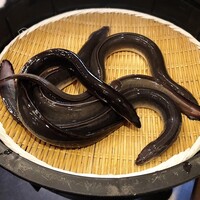 入谷鬼子母神門前のだや - 