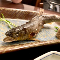 ざくろ 銀座店 - 
