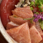 Konishi Zushi - 