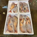 博多の大衆料理 喜水丸 - 鯛鯛