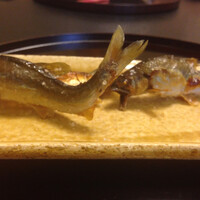 平等院表参道 竹林 - 