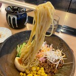 麺屋 壱力本舗 - 多加水ストレート細麺