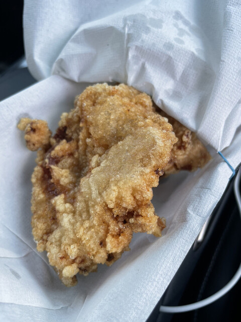 Karaage Senmon Karasuke Nagoya Moriyama Ten