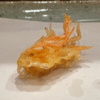 天冨良 よこ田 - 