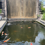 Chikin Hausu - なぜ錦鯉の泳ぐ生簀のような池があるのかは謎