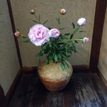 きょうや - 芍薬の 季節です