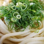 桃山亭 - かけうどん(中 2玉)