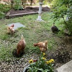 ALBERT'S British Dining Hotel Wellies Karuizawa