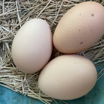 ALBERT'S British Dining Hotel Wellies Karuizawa