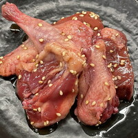 鳩（ハト）
