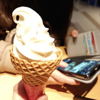 ザ ジュエルズ -  ザ ジュエルズ -