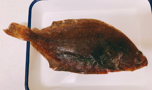 北浦うきた商店 &ndash; 男鹿市の地元食堂で味わう絶品料理