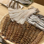 勢麟 - 本日の極上素材